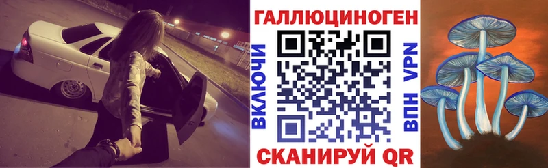 Галлюциногенные грибы Psilocybine cubensis  Купить  Ветлуга 